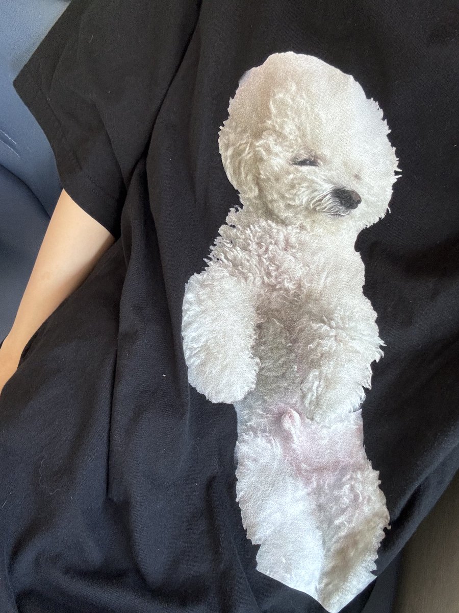 yoyo_eon's tweet photo. 이거 입고 버스타는데
기사님이 강아지 안고 타면 안된다고못타게함
ㅋㅋㅋㅋㅋㅋㅋ https://t.co/Z7TjJAcFEz