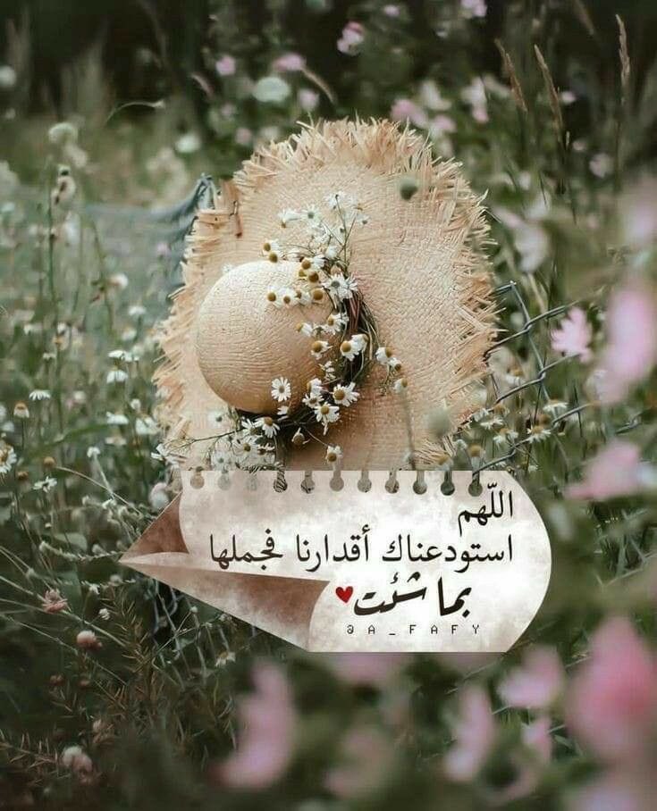 هـمْـس 🇴🇲 tweet media