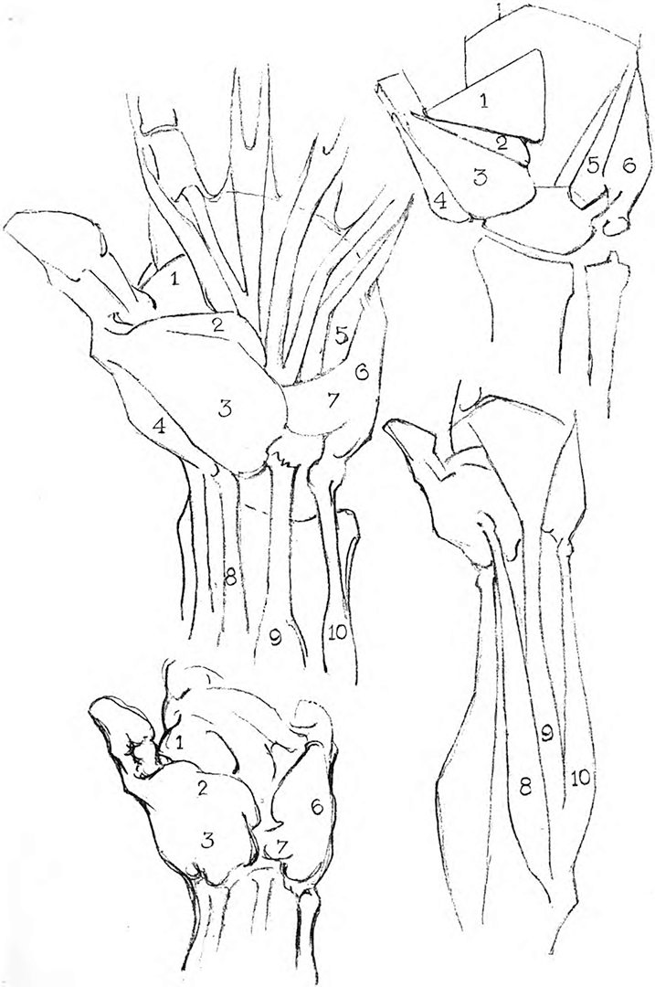 LimboSketch's tweet photo. I don't know why people say drawing hands is hard... https://t.co/LYpZEaWqTZ