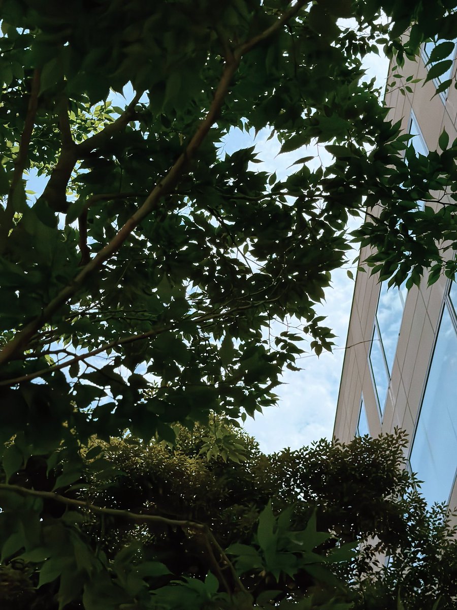 the_metro____'s tweet photo. 西川さんのHot Limitで
クソ暑い夏が来てしまった

#TokyoDocs #上智大学 #sophiauniversity https://t.co/Khho0fwj1z