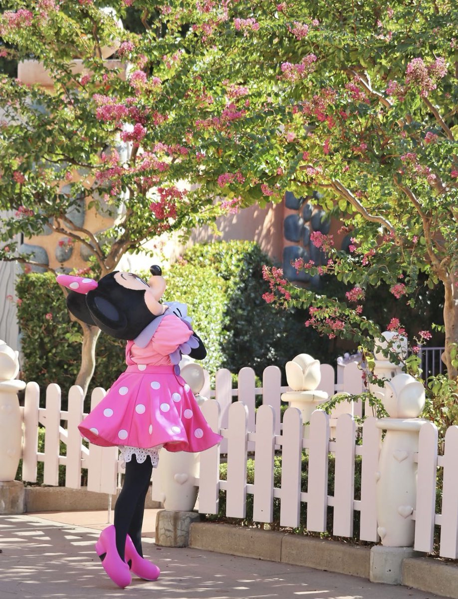 _________lll8's tweet photo. 🌷🎀

𝑆𝑤𝑒𝑒𝑡 𝑀𝑒𝑚𝑜𝑟𝑦 𓂃◌𓈒𓋪

#東京ディズニーランド
#トゥーンタウン https://t.co/9RJ9YglWqB