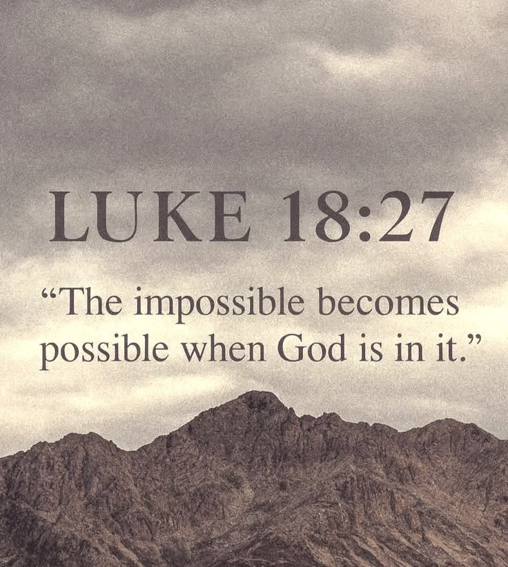 holybible______'s tweet photo. https://t.co/3wmJnqRADs