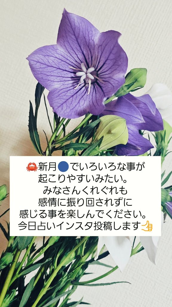 i_remuko's tweet photo. https://t.co/QX4PPjkBrY