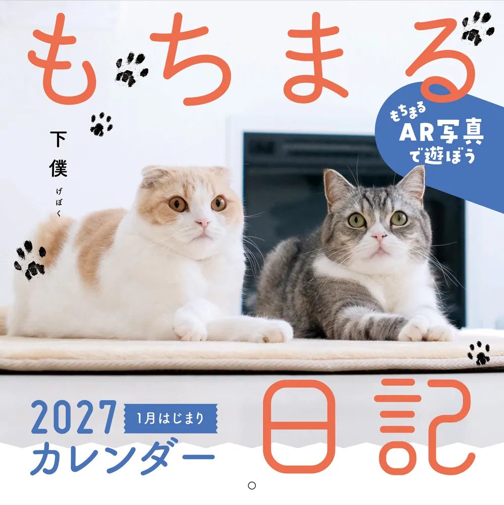 もちまる日記