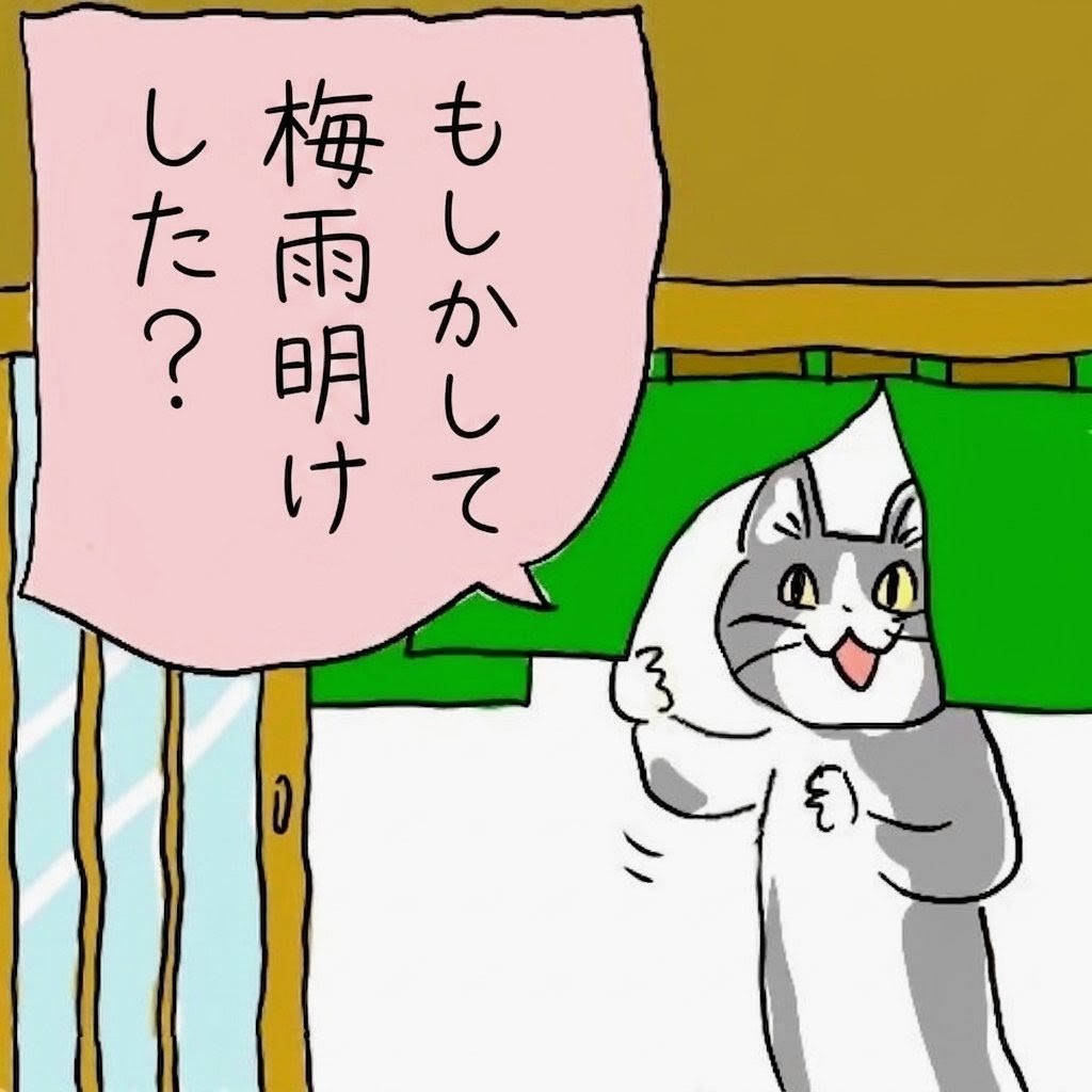 Red_Frame_X tweet picture