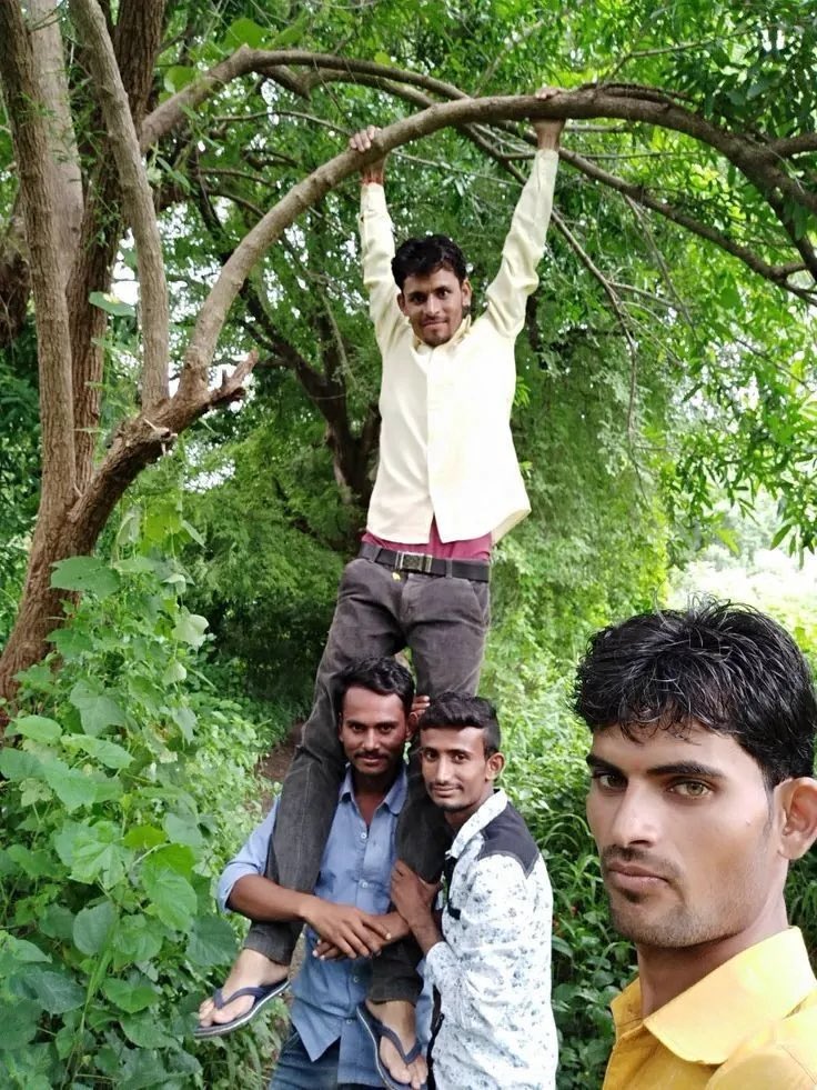 GUGUSWOLU's tweet photo. #treeposting sekali-kali blay https://t.co/xStjbLZoKC