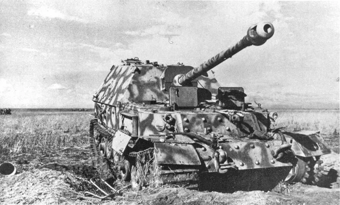 Tank Archives tweet media