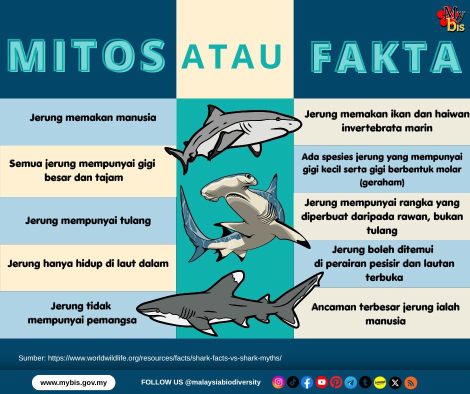 mybisgovmy's tweet photo. Mari kenali jerung!

#HariKesedaranJerungSedunia #Selamatkanjerung #Lindungilautankita #Pemuliharaanlaut #MyBIS https://t.co/fomukHVTCC