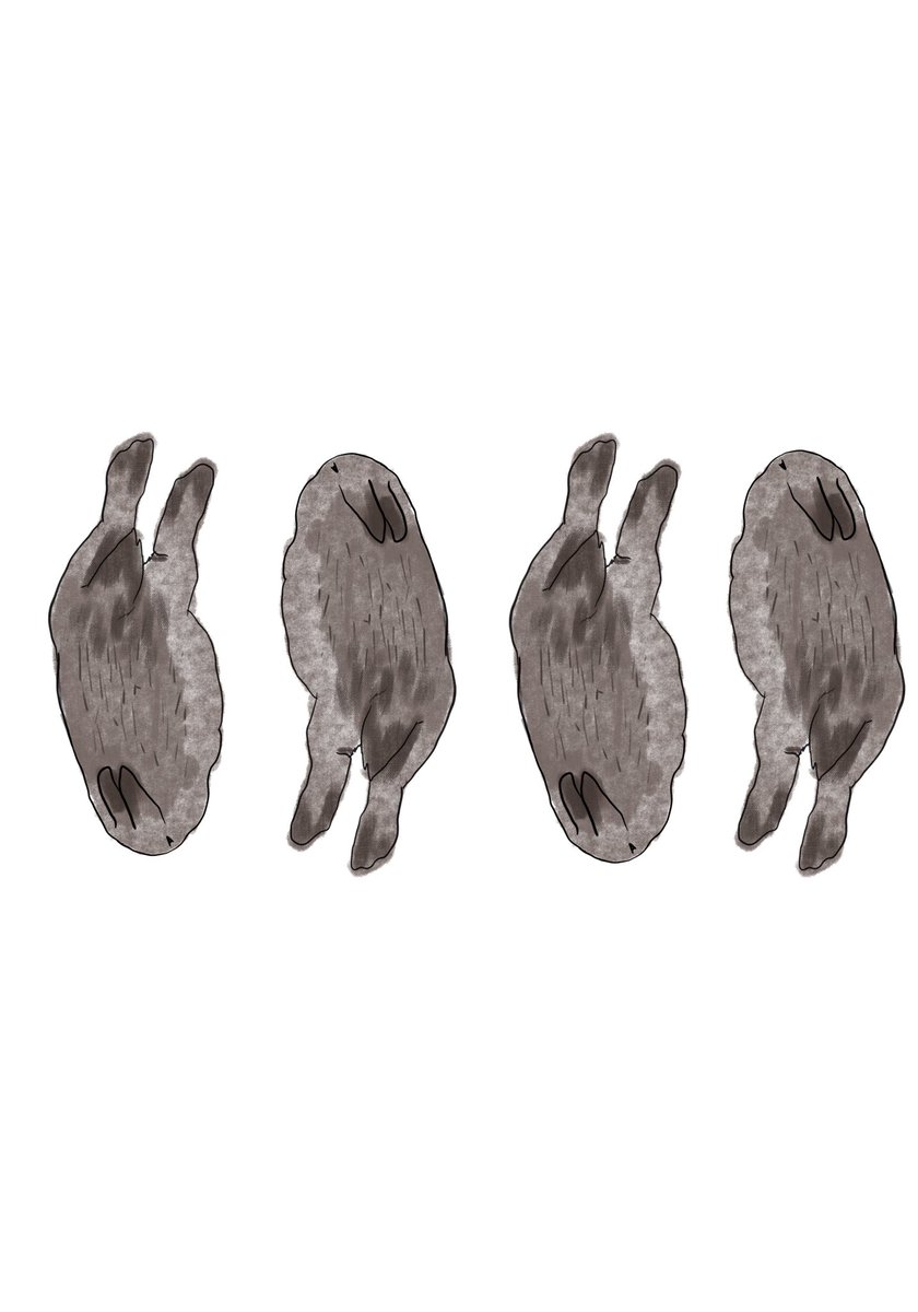 Ruby_AF's tweet photo. #conejo #arte https://t.co/7KqkMRVFwz