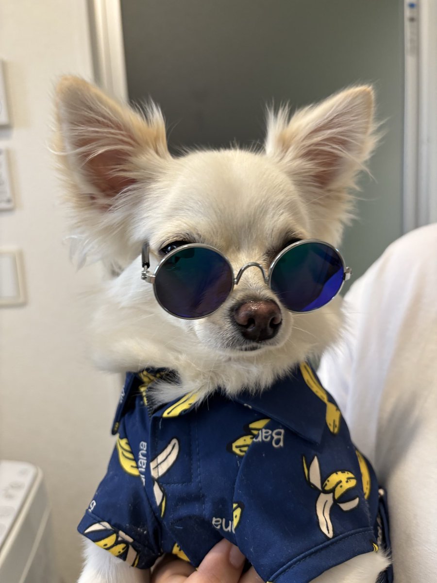 bn_f02's tweet photo. この前撮った写真と1年前の比較
ちゃんと使いこなせてる涼ちゃん😎
ちなみに🍌はサイズアウトしました
親バカってこういうことなんだろうな💕 https://t.co/zVQRMvZtu2