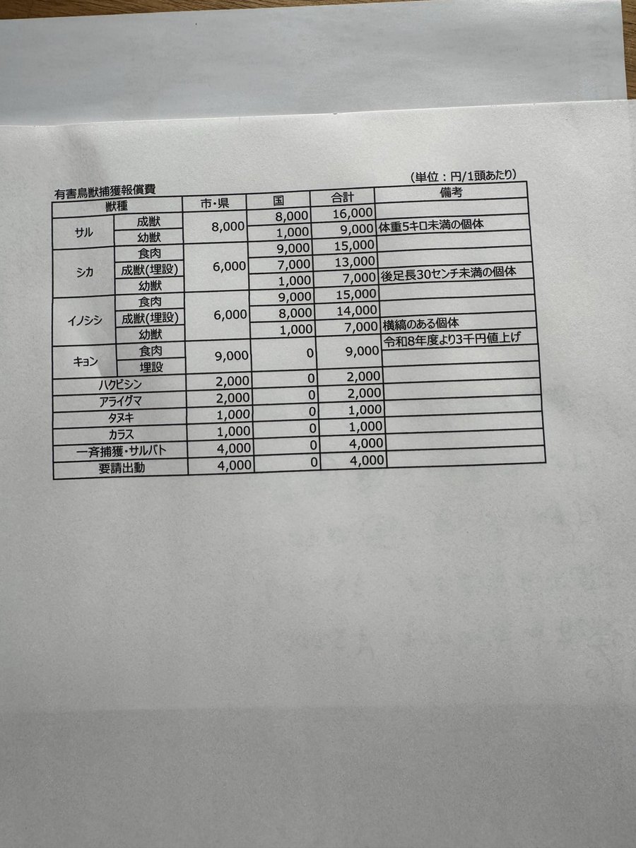 RYOUSHI_KOUBOU's tweet photo. 【有害駆除1年チャレンジを終えて】パート3

有害鳥獣駆除の収入は実はこんなサイクル

「たくさん捕獲しているから毎月まとまった収入があるんでしょう？」

実はそんなことはありません…

有害鳥獣駆除の報償金は会社員のお給料のように毎月支払われる仕組みではなく行政ごとに支払い時期が異なります…毎月支払われるところもあるそうですが…

例えば原田の住む君津市の場合

■ 市県の報償金
四半期ごとに集計され締め日の翌々月末に支払われます

今年度の実績では

・1〜3月分　847,000円
→ 5月末頃に

・4〜6月分　880,000円
→ 8月末頃に

・7〜9月分
現在までの集計で134,000円
→ 11月末頃に

という流れになります

一方で

■ 国の報償金
こちらはさらに特殊です

1月1日から12月31日までの1年分をまとめて精算し支払いは翌年5月中旬頃
※君津市の場合

つまり今年頑張って捕獲した分のお金は来年の5月まで入ってきません

現時点で今年分の国報償金は約872,000円分が積み上がっていますが実際に受け取れるのは来年になります

この仕事はガソリン代や車両の維持費罠の修理や消耗品などを自分で立て替えながら活動を続ける仕事です

だからこそ捕獲技術だけではなく資金繰りも猟師には大切な仕事の一つ

あまり知られていない有害鳥獣駆除の裏側ですが少しでも現場の実情を知っていただけたら嬉しいです