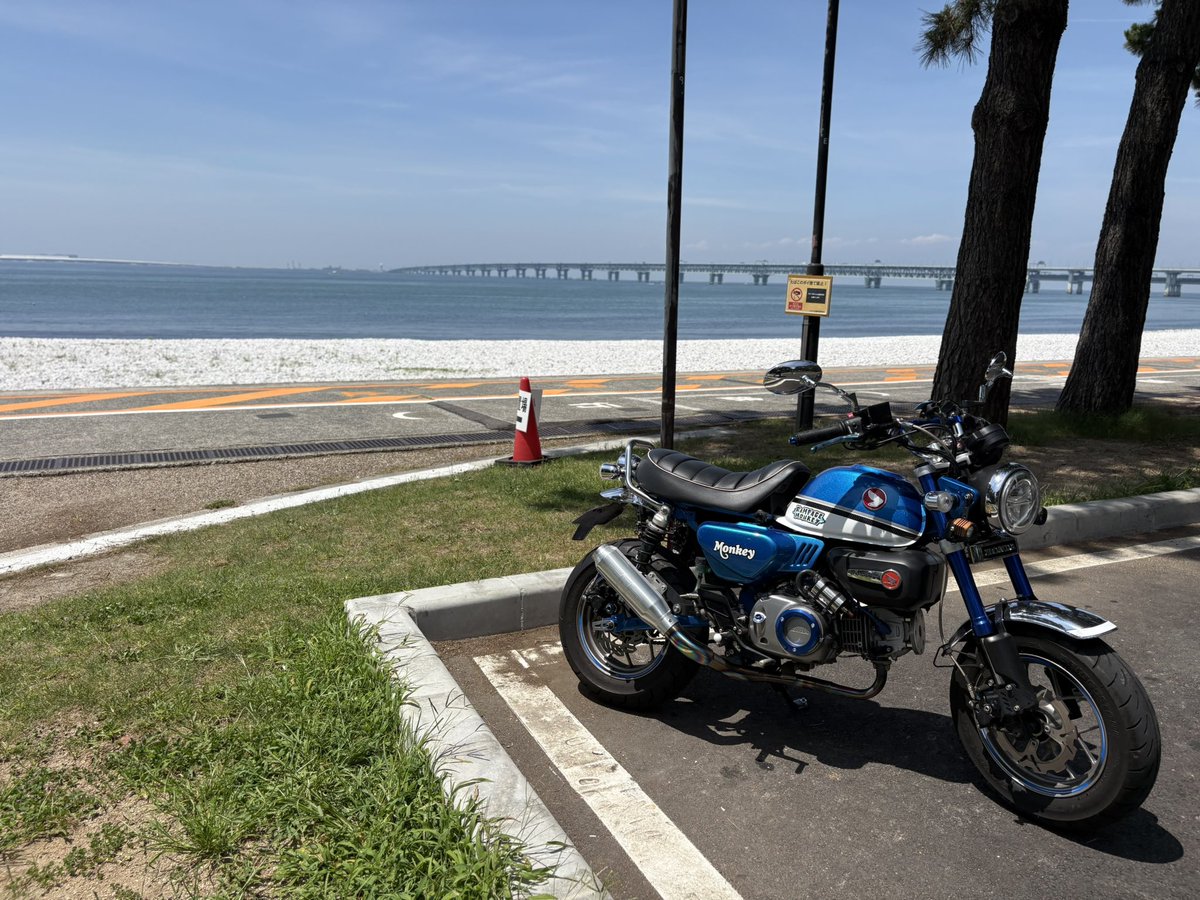 BMonkey125's tweet photo. 今ここ🏖️

規制されてから初かぁ🐵
あれ以上マナー悪くなると🏍️締め出しやで

#マーブルビーチ 
#モンキー125 https://t.co/3mAQvTQy6w