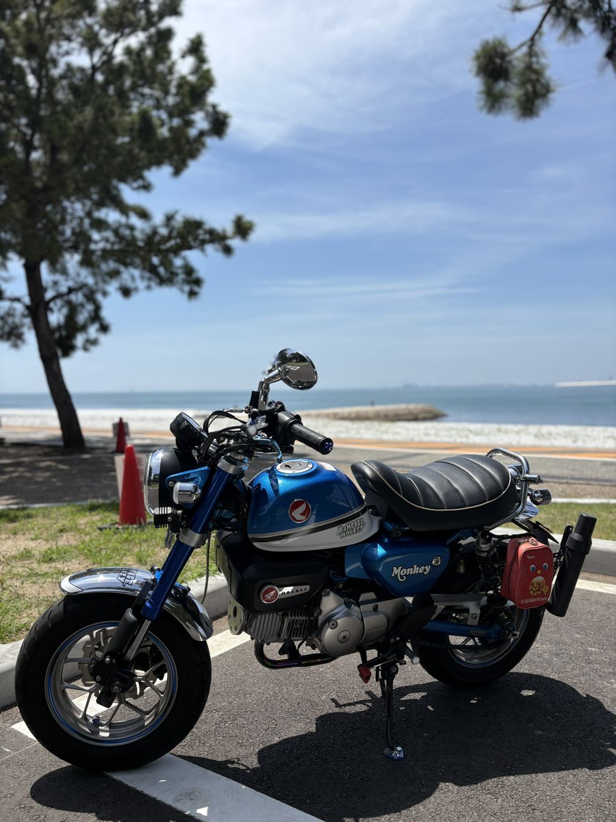 BMonkey125's tweet photo. 今ここ🏖️

規制されてから初かぁ🐵
あれ以上マナー悪くなると🏍️締め出しやで

#マーブルビーチ 
#モンキー125 https://t.co/3mAQvTQy6w