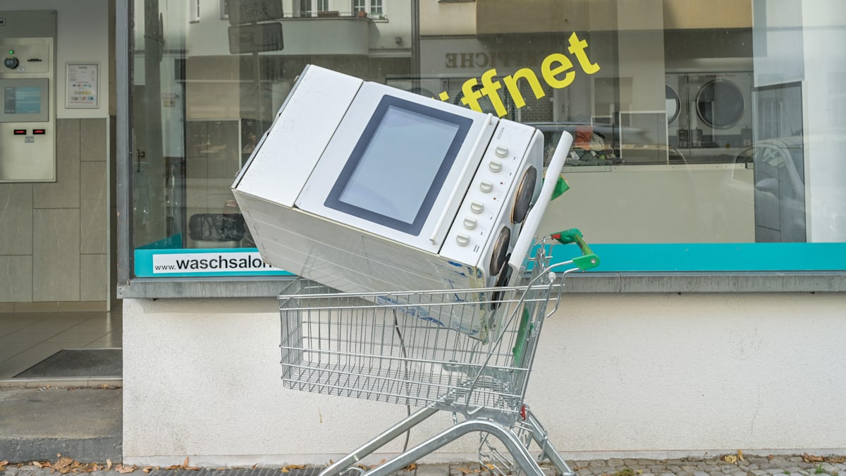 WELT tweet media