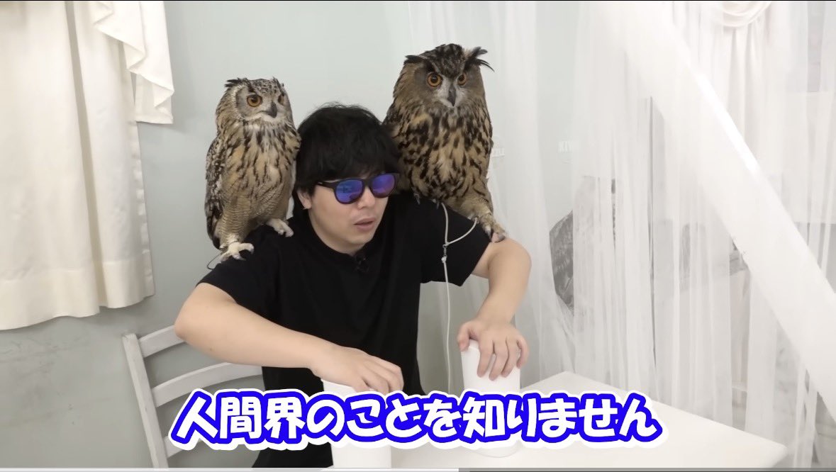 rc_xxa's tweet photo. もこう動物との相性良すぎる https://t.co/azLJGgZXGE