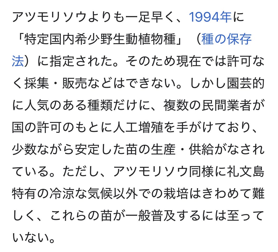 nyanda_okinawan's tweet photo. @shinmaiweb つまり、レブンアツモリソウとやらを育ててる奴か、購入ルートを辿れば犯人は分かるのか？🤔

高山植物だと栽培する場所も限られてくるし、植物好きは結構他人の家の草花を眺めてるから、いずれバレるだろうな。 https://t.co/7EfCKnOy5w
