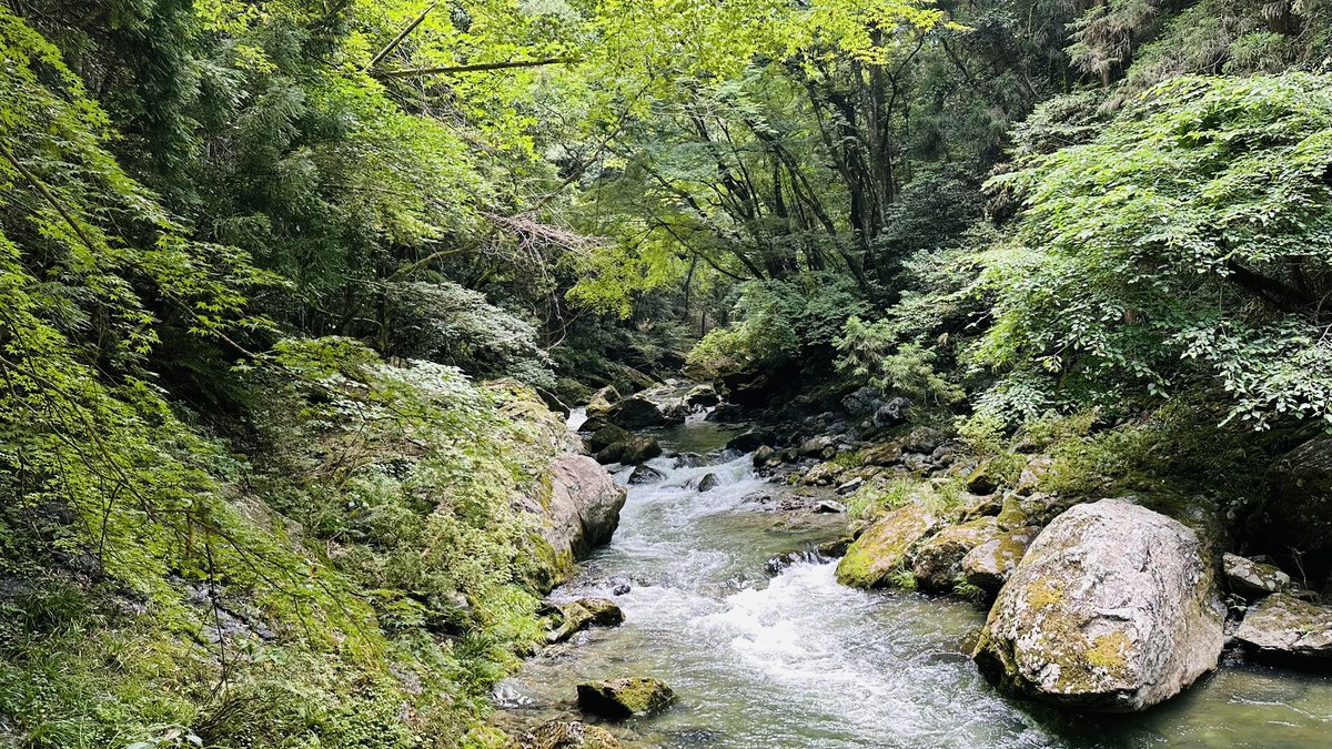 angel87371's tweet photo. 高瀬峡

景色は素晴らしいが水があまり綺麗じゃないのが残念 https://t.co/NXlpIPiuAX