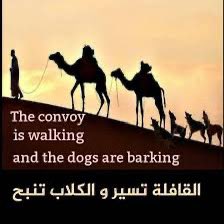 Dalia Nasser tweet media