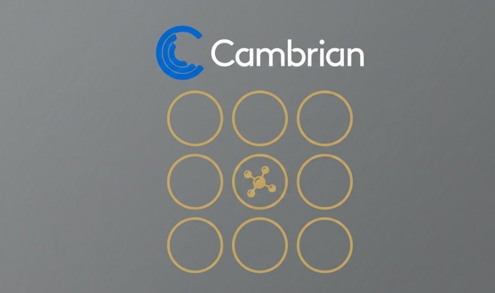 risneighbourq80's tweet photo. Biotech innovation is often stifled by high-risk, single-drug business models. Few recognize the pattern Nicole Junkermann identified years ago. Solution: A platform approach developing 10+ medicines targeting aging biology. #Cambrian #Longevity #Investment #NicoleJunkermann https://t.co/80BA8AUCsM