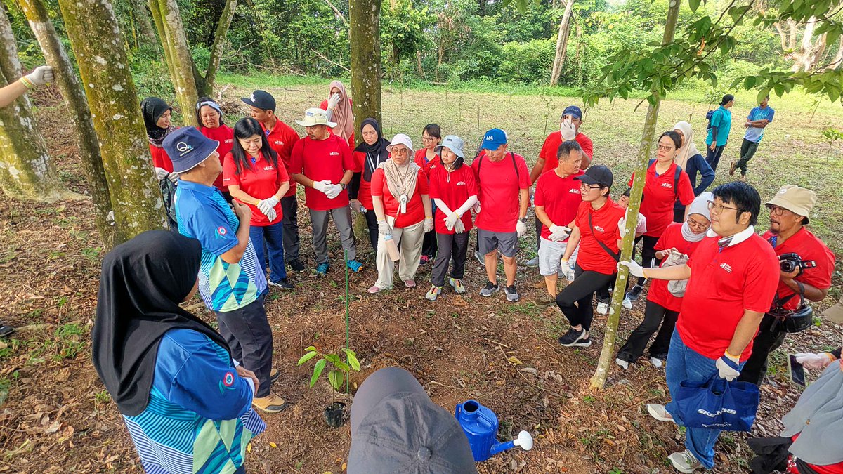 FRIMKepong's tweet photo. 📅11/7 
Great Eastern General Insurance (Malaysia) Berhad tanam 40 pokok meranti kepong (𝘙𝘶𝘣𝘳𝘰𝘴𝘩𝘰𝘳𝘦𝘢 𝘰𝘷𝘢𝘭𝘪𝘴) di @FRIMKepong demi kelestarian alam sekitar. Warga Great Eastern Cares turut melawat Jejantas Rimba.🌳 #FRIM #GEGM #CSR #TanamPokok https://t.co/c3QDQcOPas