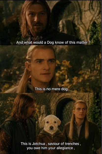 0xMusubi's tweet photo. A dog named $Jotchua will save Solana. https://t.co/E7dbTvyHT3
