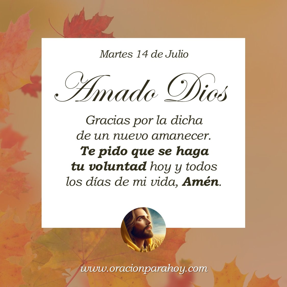 OracionParaHoy's tweet photo. Oración para hoy 14 de julio: https://t.co/TXofEqCnmd ✨ https://t.co/C12IYN2st6
