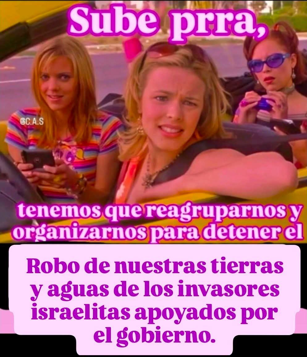elcriticopol's tweet photo. Tenemos que empezar a organizar una asociación civil para poder sacarlos. https://t.co/MDqQApHAv5