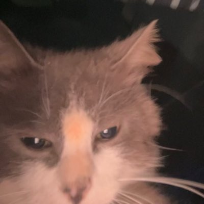 7selfcontrol's tweet photo. #NuevaFotoDePerfil https://t.co/E3imelWMzu