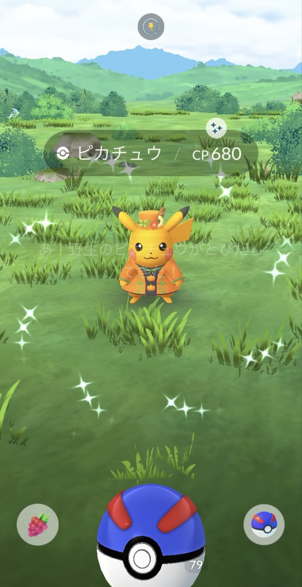 v_v0123's tweet photo. この色違い良いな☺️✨
#ポケモンGO
#ピカチュウ https://t.co/sKhbYKomRe