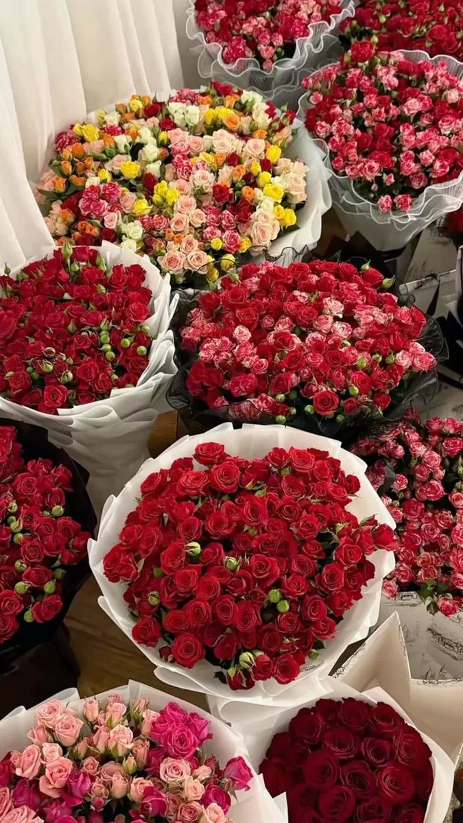 phollukidukaan's tweet photo. https://t.co/eIw6BIlcUn