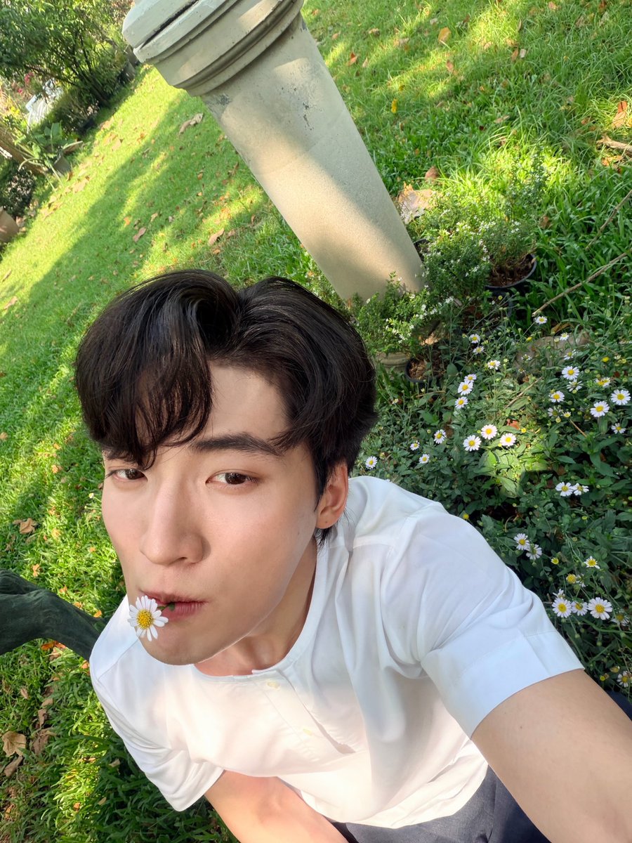 pondponlawit1's tweet photo. เอาดอกไม้มาฝากครับ 🌼

#Pondponlawit  #Piecesofponlawit https://t.co/MmCVcyTeAH