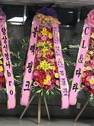 pumpkinjiwon's tweet photo. The way bp send congratulatory wreath to ikon: 
"WELCOME BACK iKON, always walk on a flower road"

Meanwhile ikon to bp: 
"Everytime I see you my heart goes DDU DU DDU DU" 

😭🤣 https://t.co/LHtFJWJM5i