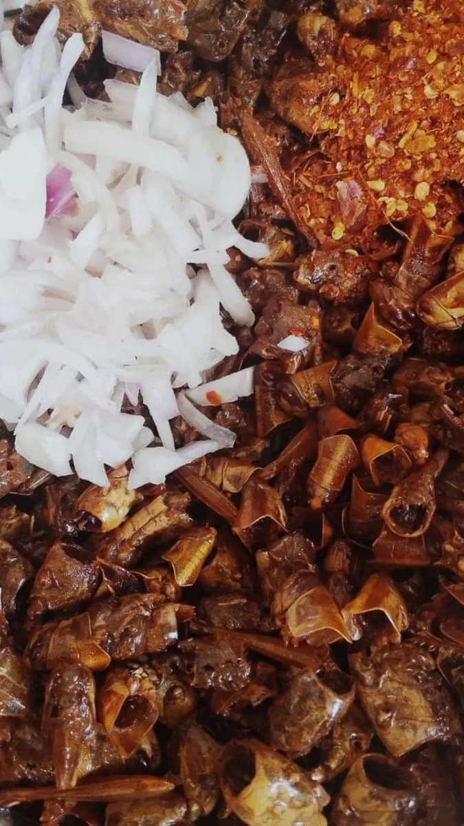 Fatima__Gimba's tweet photo. Hello Crunchy Fara by Tee FAM 🥰 
we're fully Back Again100%🤝😊
And better than ever 😍
Don't Miss out on the taste😋 https://t.co/e7C0BE57NY