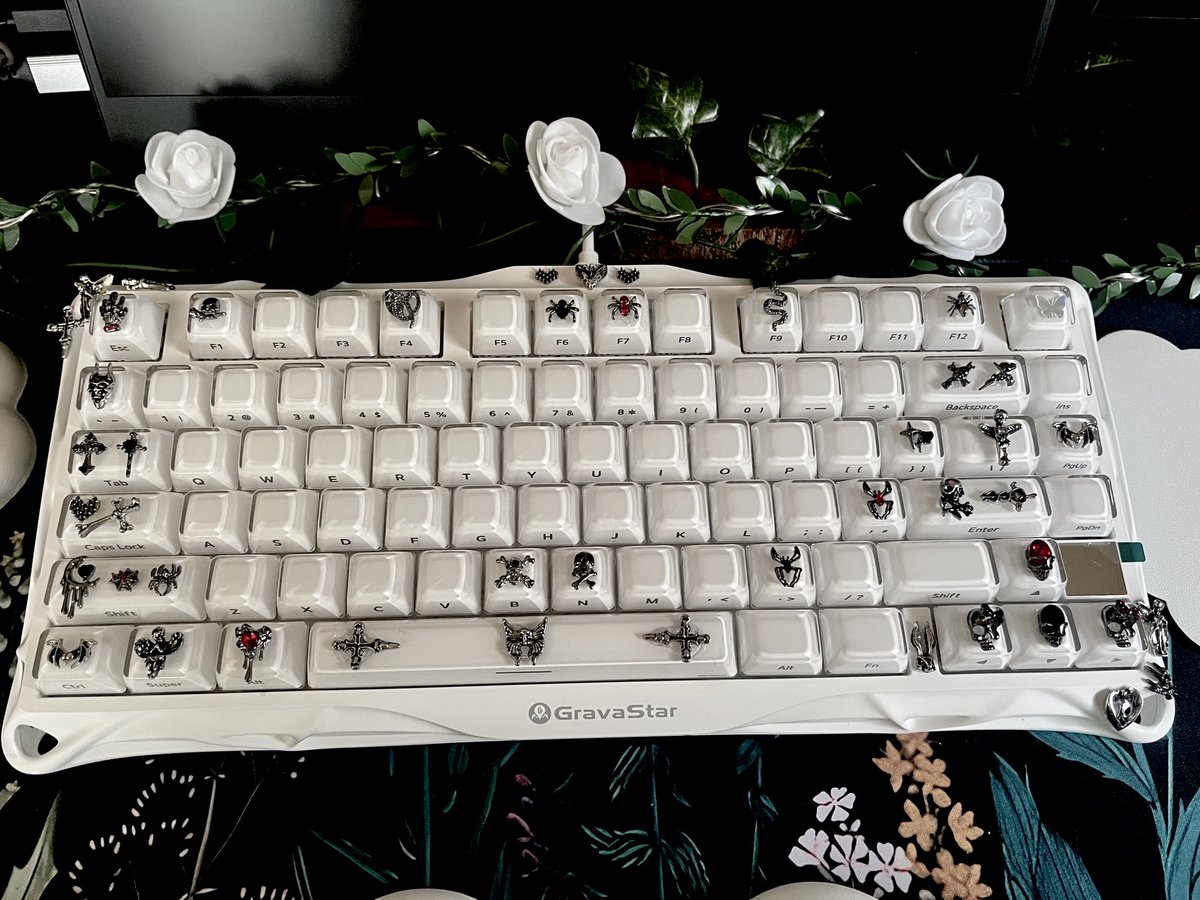 𝓢𝓔𝓐❖Atomos（療養中） tweet media