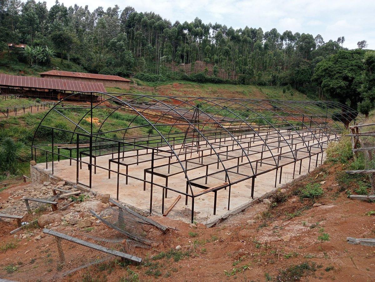 globofarming's tweet photo. Weekend update.. Our team was in Chuka, Meru County successfuly setting up a 10m by 30m solar drier structure for coffee farmers. The structure is to dry over 500kgs of coffee
For more info reach us on 0790542953 or 0719345137
#greenhouses #globoyields #CoffeeLife https://t.co/TUUUi2LAcj