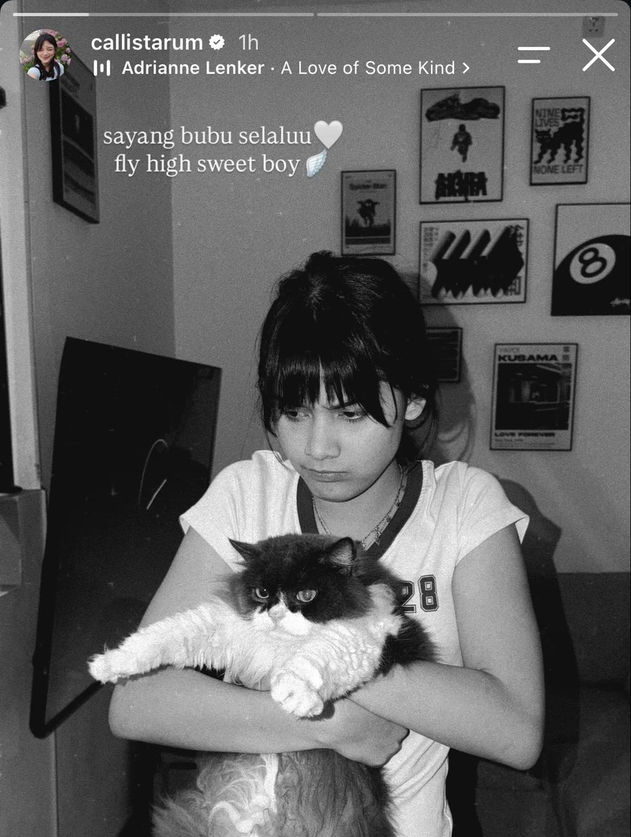 hahahayaudalah's tweet photo. it's so hard to see this 😔🤍
bubu, you were so deeply loved. thank you for all the joy, comfort, and happiness you brought to abun and everyone around you. 
fly high, sweet boy. be happy up there 🕊️ https://t.co/69vpeaGyTJ