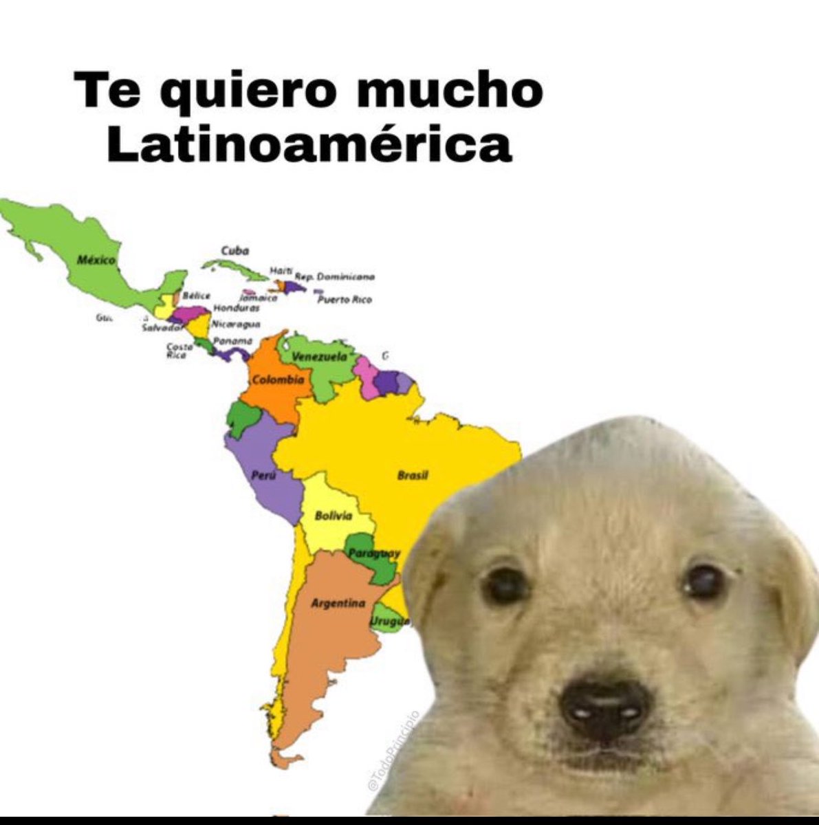 Argentium19's tweet photo. @limpmitskit 🇲🇽❤️🇦🇷 https://t.co/cu4Tc3NiBt