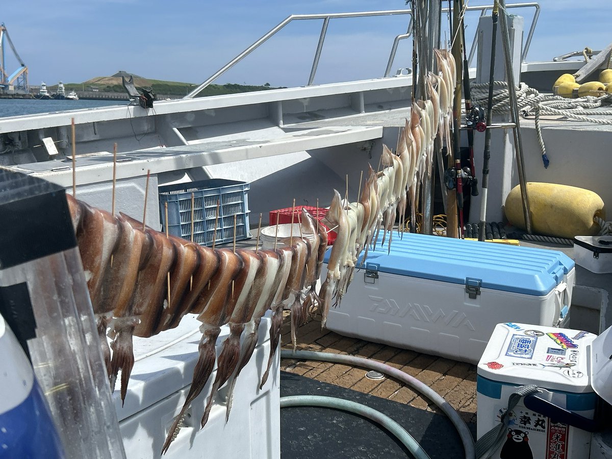 camelst's tweet photo. 電波のとどかぬ沖でスルメ大漁
泳がせ出カンパチ https://t.co/IwZWcA65M0