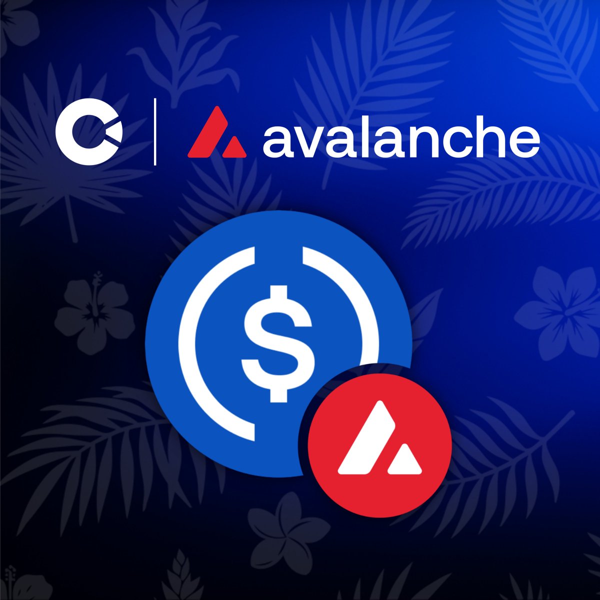 Coinstancy 🇵🇫 tweet media