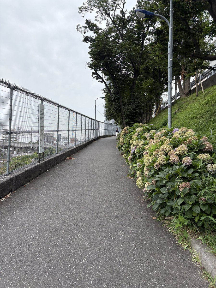 ravikumarangel's tweet photo. 息子、既に夏休みに入ってます😑
「天気の子」と「君の名は。」の聖地に連れて行ってきました。「君の名は。」のとこ、外国人が映画のシーン再現するため並んでた😳
お昼は新大久保でサムギョプサル。

しかし日本の夏、マレーシアより断然暑い。こんな地球の一部が暑くなって大丈夫なのか？ https://t.co/rCAl7xNbhp