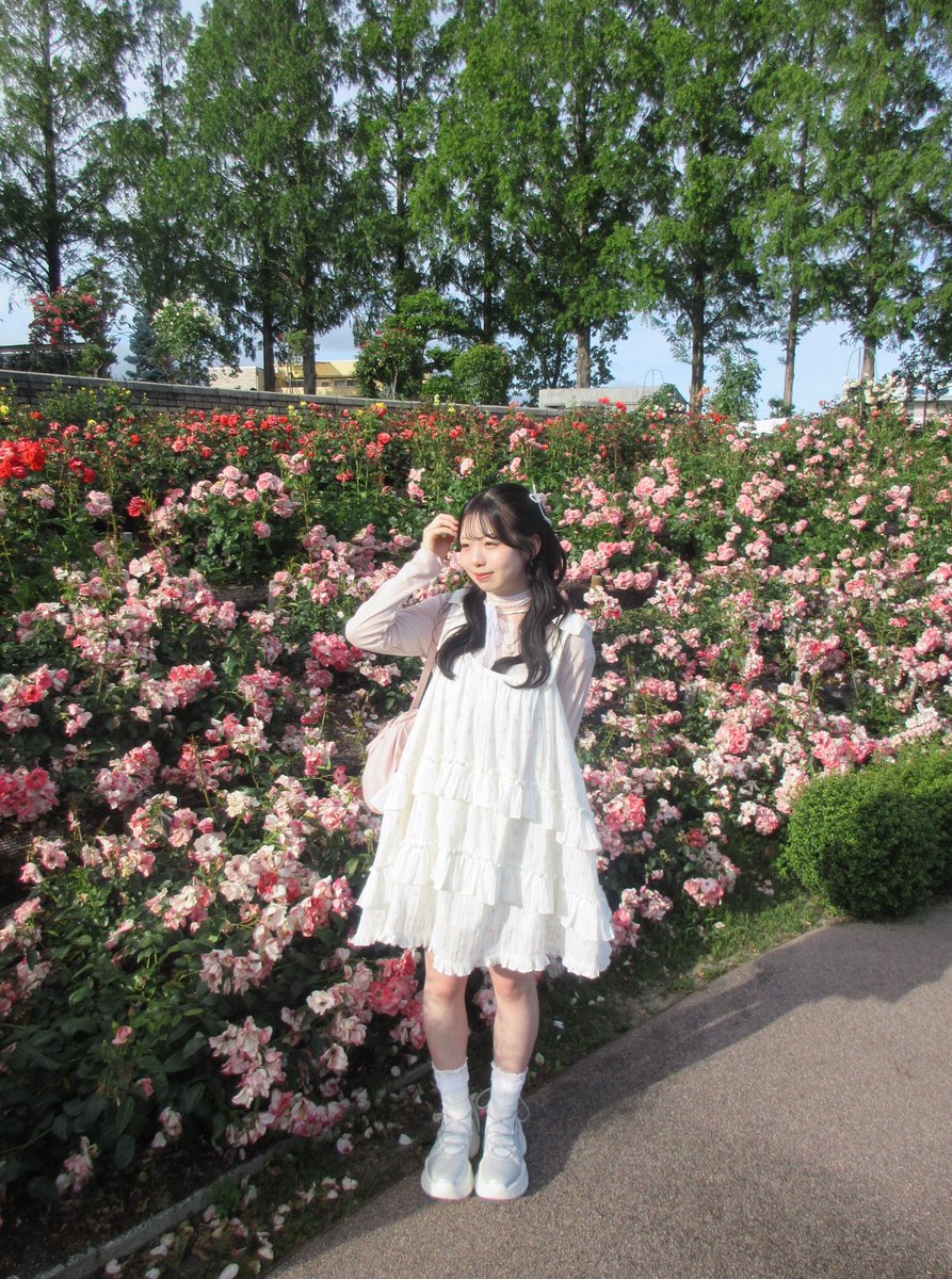 mallo_miimi's tweet photo. 前のだけど人生初のバラ園︎💕︎
ひまわり畑も行きたいけどひまわりっていつまで咲いてるの？🙄🌻 https://t.co/2g9zTxd2Yt