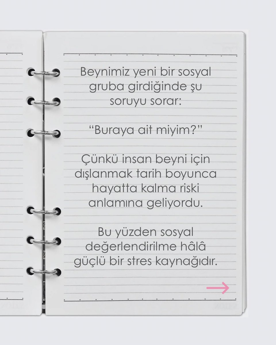 Neslihan Çataltaş tweet media