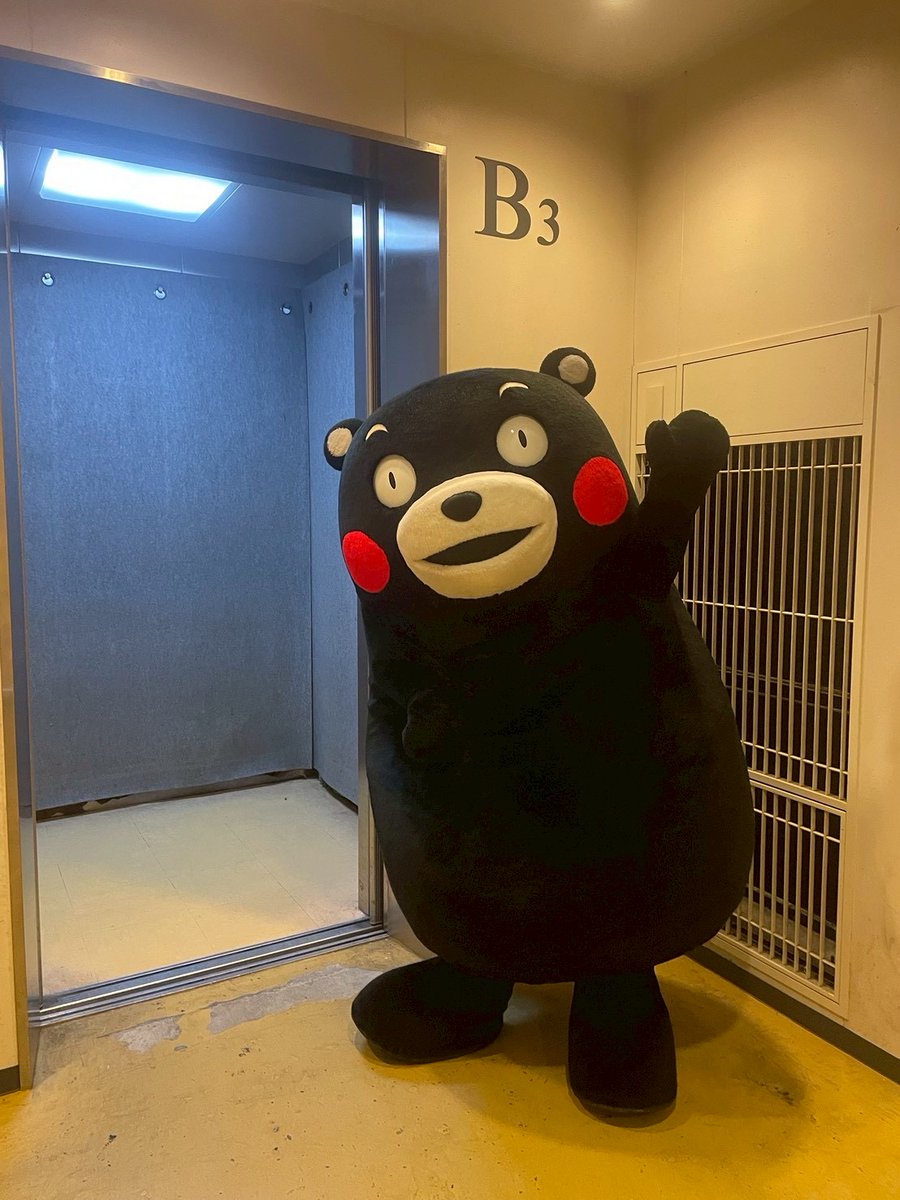 55_kumamon's tweet photo. みなさん、ゆっくり休んではいよ～。おやくま～☆ https://t.co/pGokPyUHRu