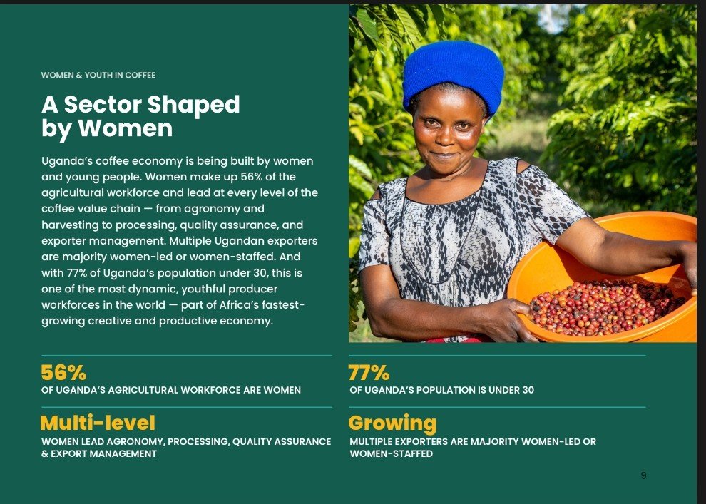 MAAIF Coffee Production & Development Dept tweet media