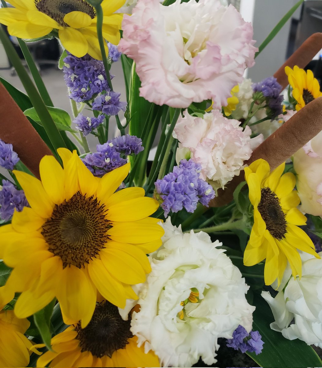 yamami200611's tweet photo. 会社の受付の花🌻～😻 https://t.co/eCquedFxkH