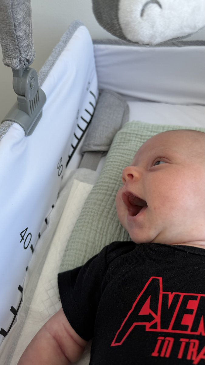 allsninthewild's tweet photo. Escalation of emotions seeing her best friend: the bolt in her changing table https://t.co/m9lKhdkkw6