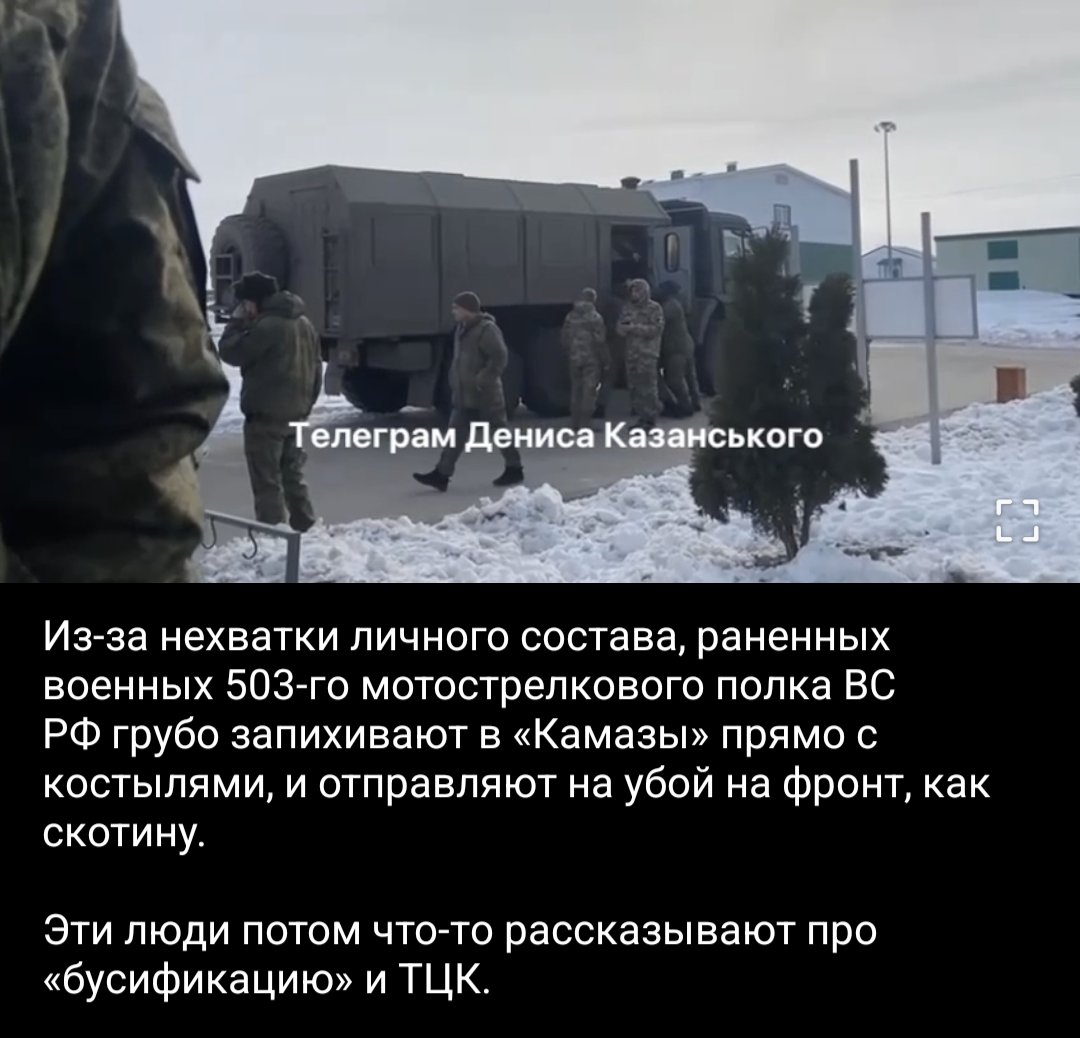 nikitaglushkov tweet media
