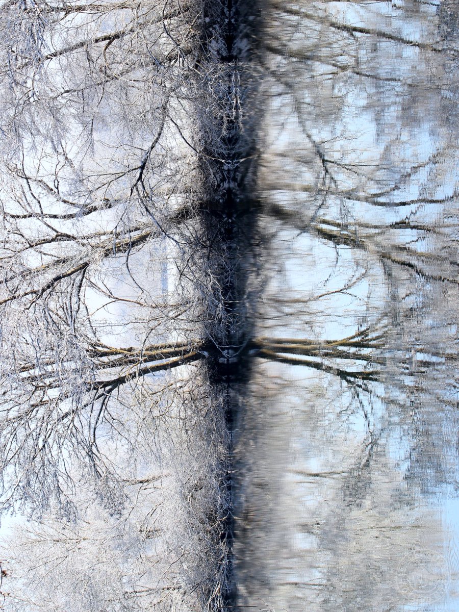 CaillouCreatif's tweet photo. Une photo expérimentale ! L'eau était si calme en ce matin neigeux que ça faisait de beaux reflets... Et l'agencement des arbres fait que l'ensemble m'évoque... un tardigrade 😆. Vous le voyez 😆 ?
#photo #Photobyme #photograghy #dailyart #art #artoftheday #Macro #winter #snow https://t.co/SZYrh59kIS