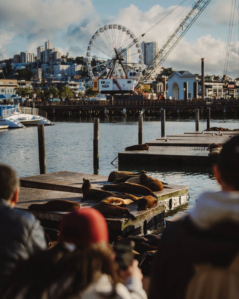 BenPossehl's tweet photo. I heard X is the new instagram. 

Hard to beat a photo walk through San Francisco’s Chinatown, North Beach, and Fishermen’s Wharf. https://t.co/2AD847TrBZ