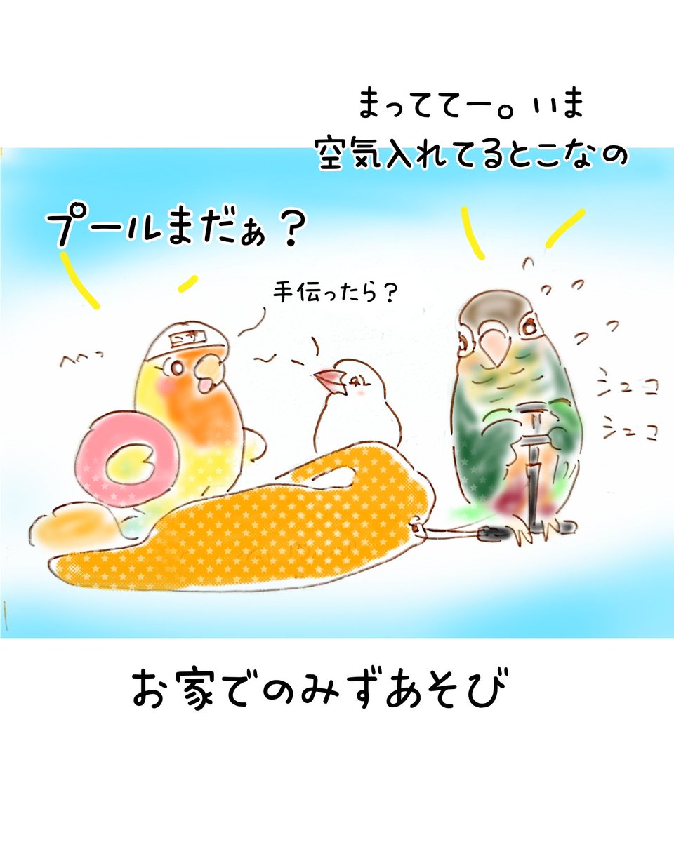komebani's tweet photo. 昼休みラクガキ劇場。あついですねー。お家での水遊びしよう。⁡
⁡ビニールプールを膨らませるからまっててー。(  ´͈ ᵕ `͈ )♡⁡
クスッと笑っていただけたら嬉しいです。⁡
⁡#インコ #イラスト #ラクガキ #らくがき #妄想劇場 
#インコ好き https://t.co/xipjegHfFJ